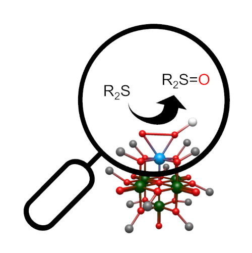 Isolation of a rare terminal Zr(IV) peroxide and insight into polyoxovandadate support on thioether oxidation
